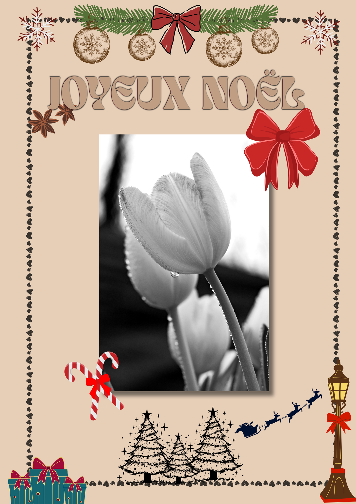 Noël en Fleure
