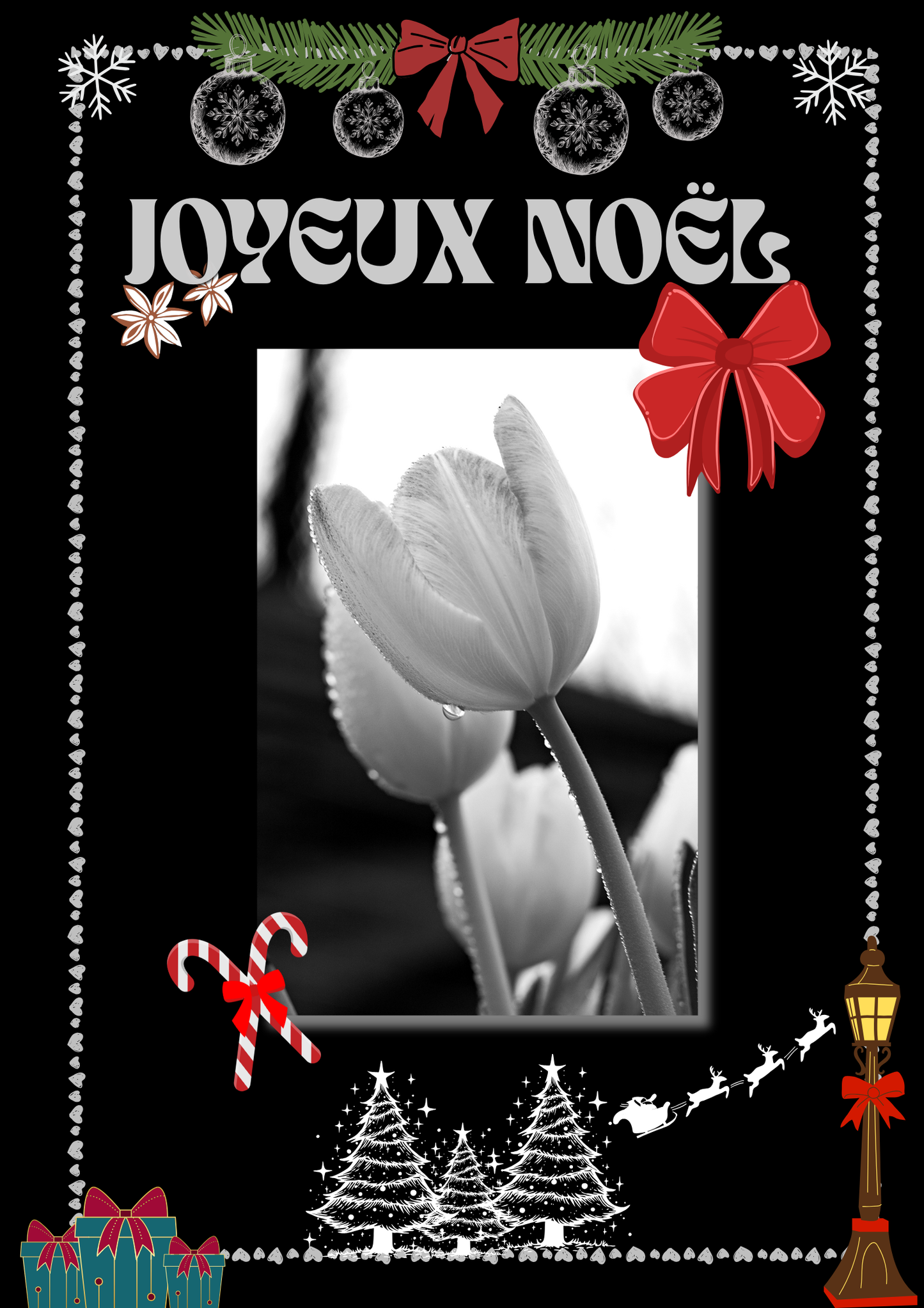 Noël en Tulipe