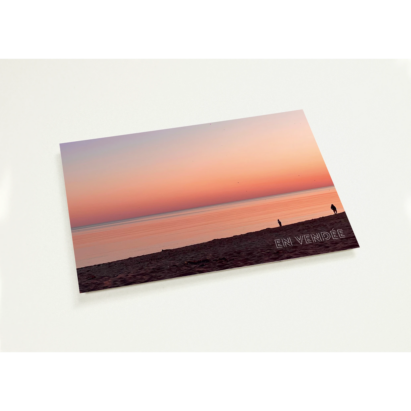 d349b41f-ce75-473f-bc9e-09f4d4d87312